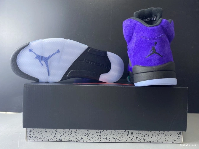 Jordan Grape 5 Alternate Air 136027-500 Retro 0610